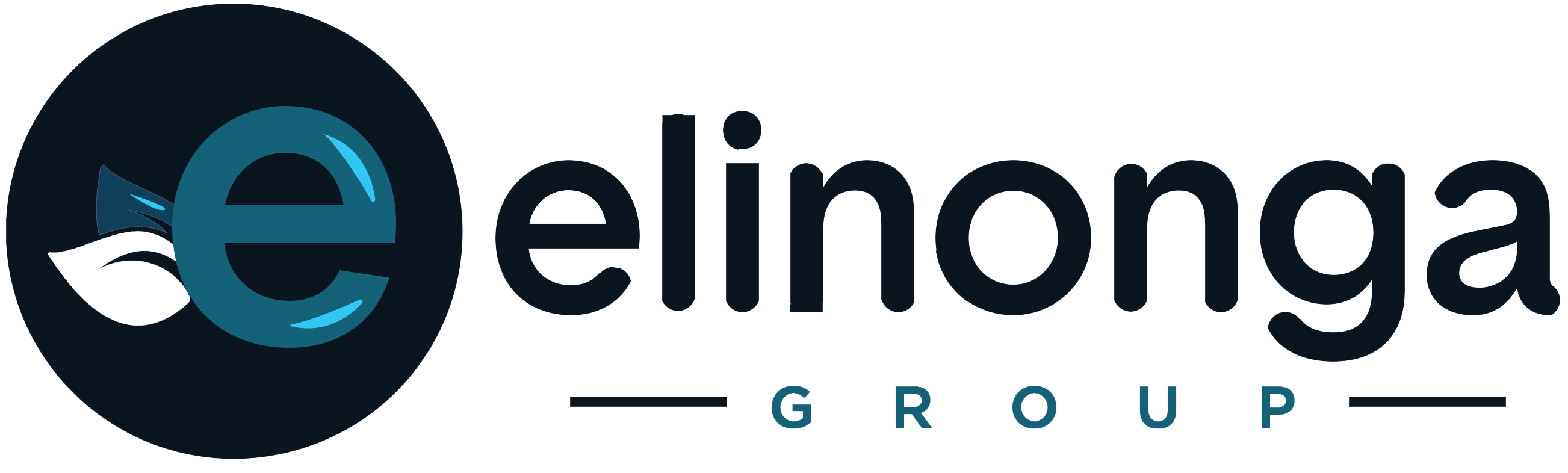 Elinonga Group